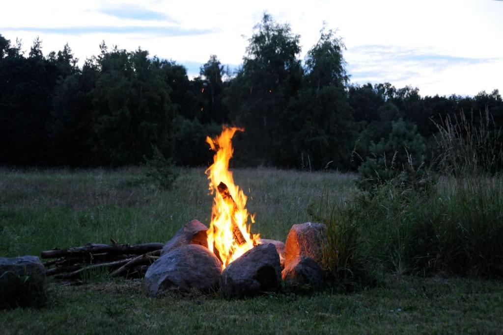 Romantisches Studio Am Waldesrand Mit Gartensauna Schwarz エクステリア 写真