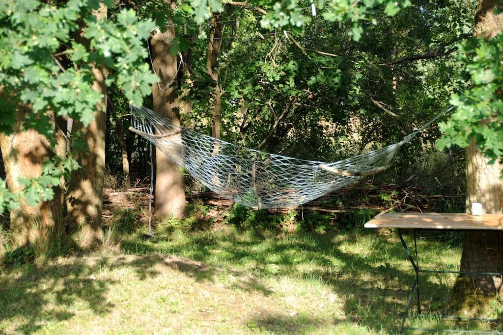 Romantisches Studio Am Waldesrand Mit Gartensauna Schwarz エクステリア 写真