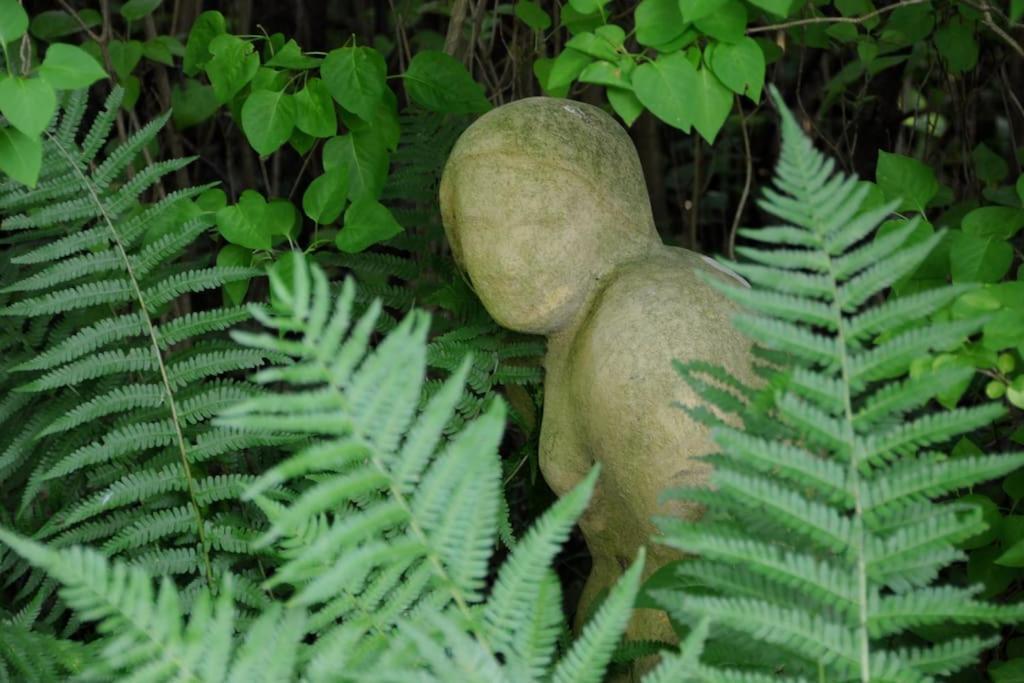 Romantisches Studio Am Waldesrand Mit Gartensauna Schwarz エクステリア 写真